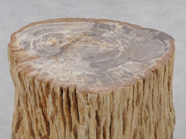 Side table petrified wood 51043