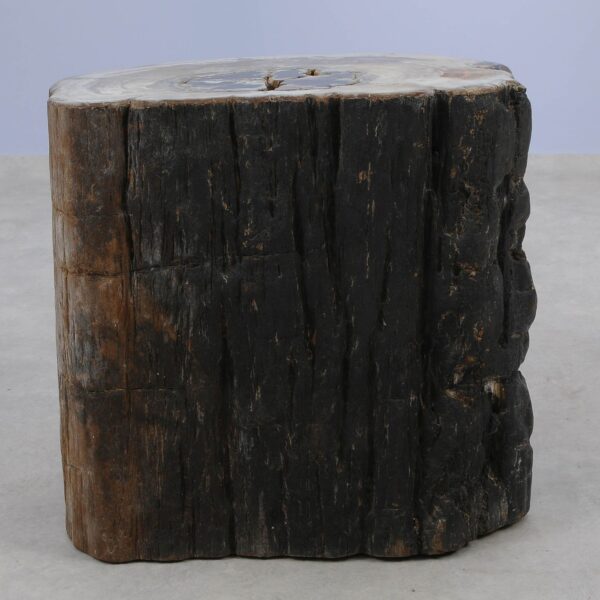 Side table petrified wood 51044