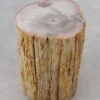 Side table petrified wood 51045