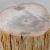 Side table petrified wood 51045