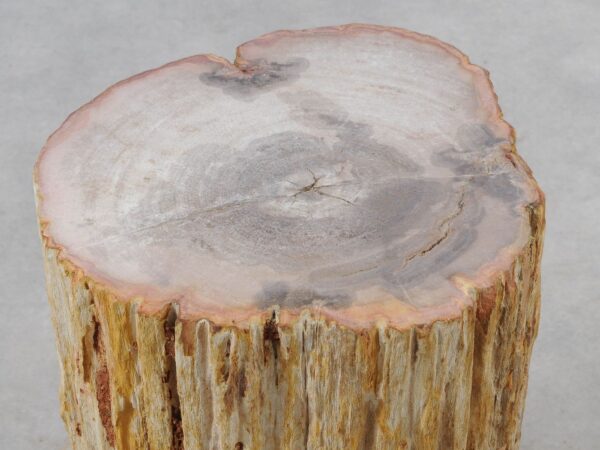 Side table petrified wood 51045