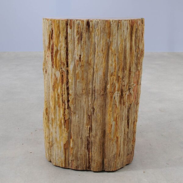 Side table petrified wood 51045