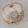 Side table petrified wood 51045