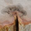 Side table petrified wood 51045