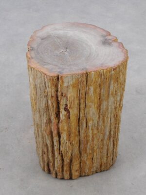 Side table petrified wood 51046