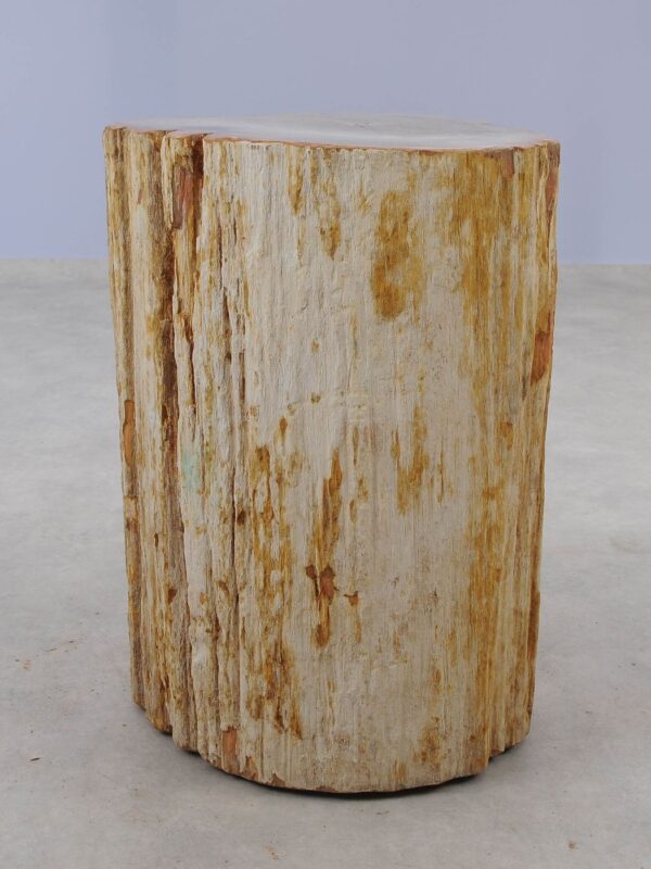 Side table petrified wood 51046