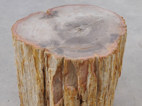 Side table petrified wood 51047