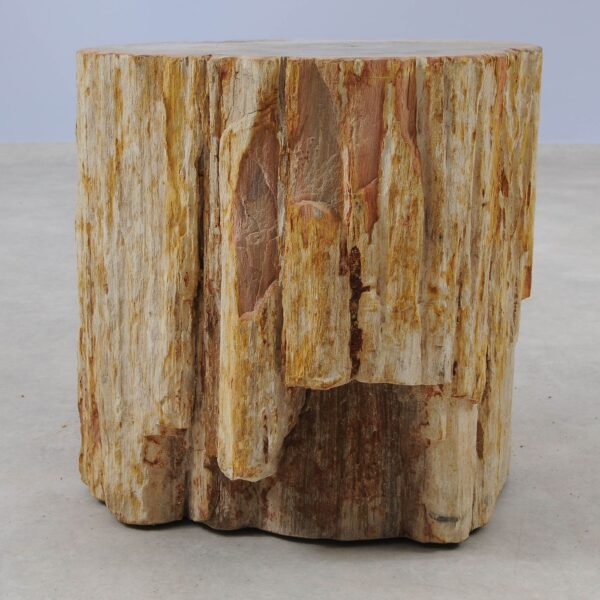 Side table petrified wood 51047