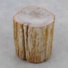 Side table petrified wood 51048