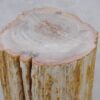 Side table petrified wood 51048
