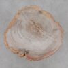Side table petrified wood 51048