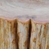 Side table petrified wood 51048