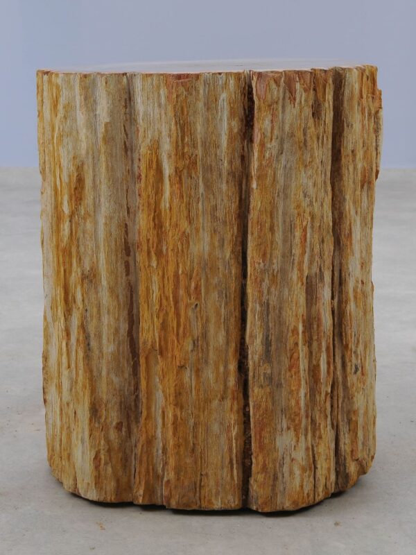 Side table petrified wood 51048