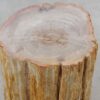 Side table petrified wood 51048