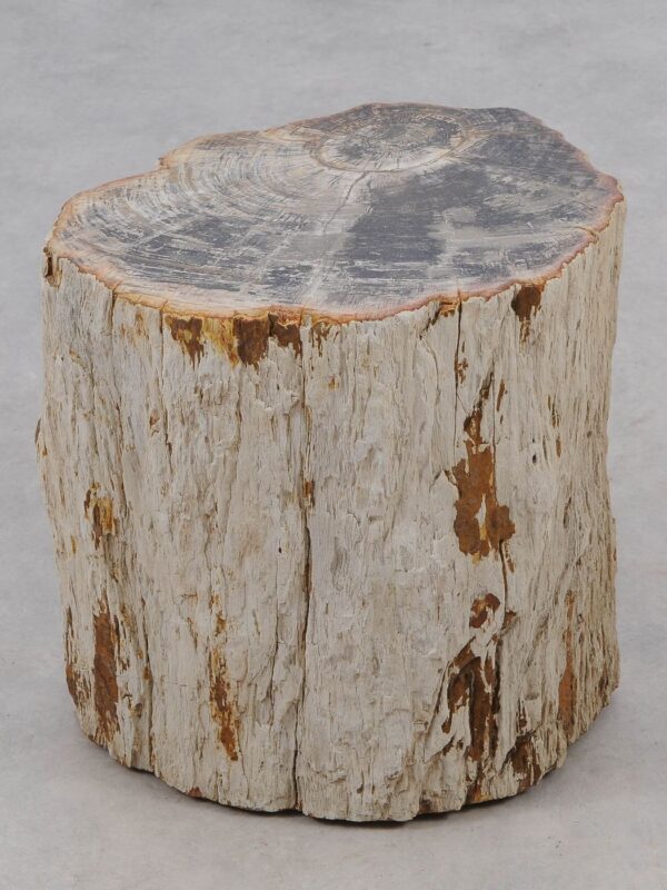 Side table petrified wood 51049