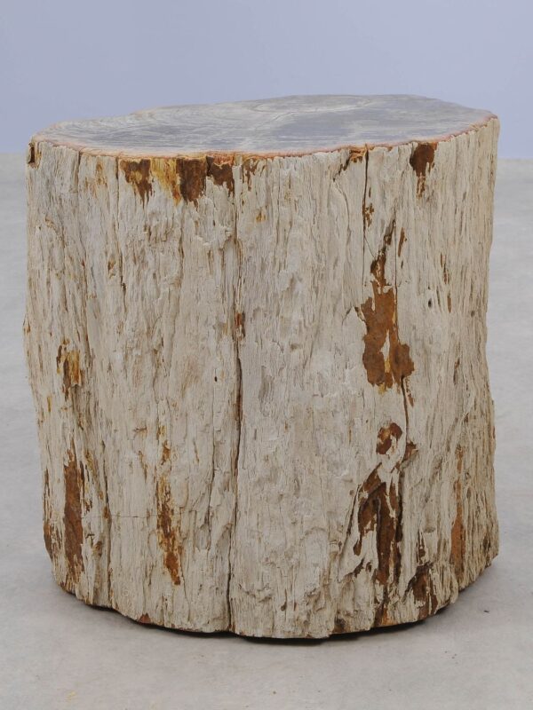 Side table petrified wood 51049