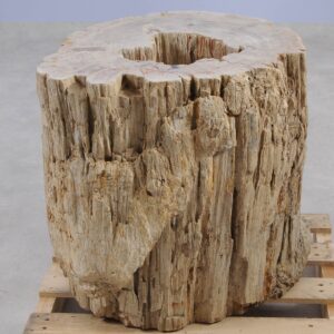 Side table petrified wood 51050