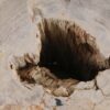 Side table petrified wood 51050