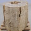 Side table petrified wood 51050