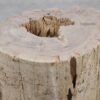 Side table petrified wood 51050