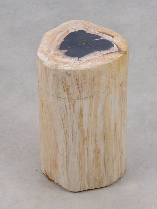 Side table petrified wood 51122