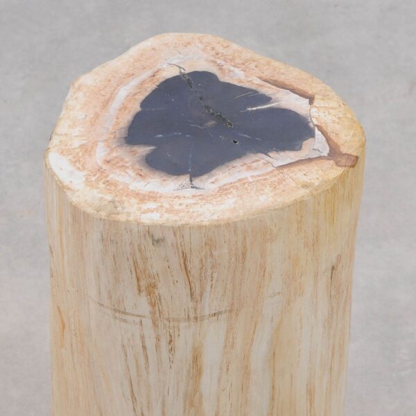 Side table petrified wood 51122