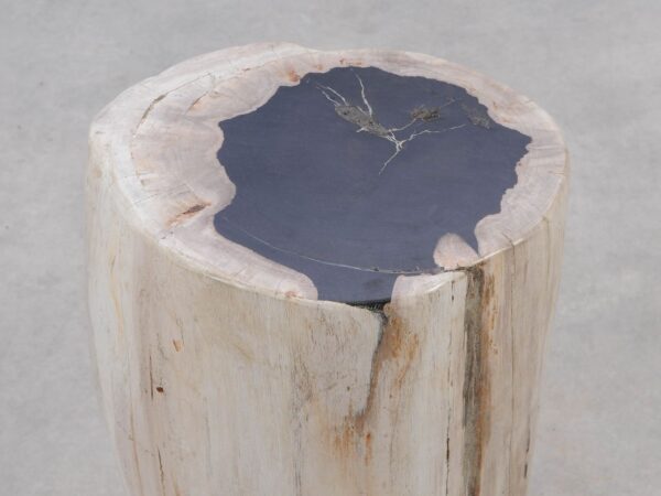 Side table petrified wood 51314