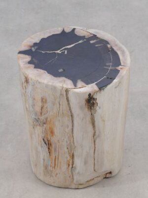 Side table petrified wood 51315