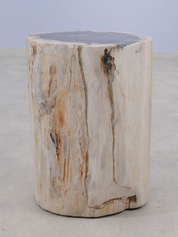 Side table petrified wood 51315