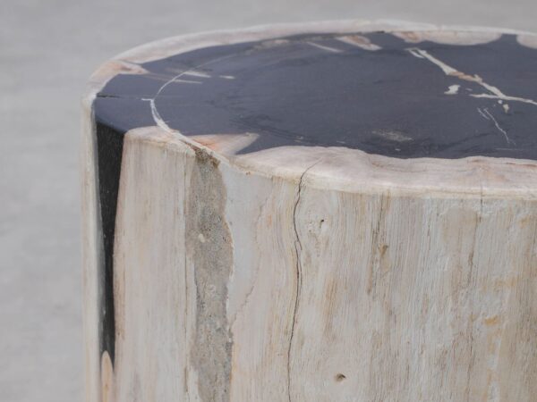 Side table petrified wood 51316