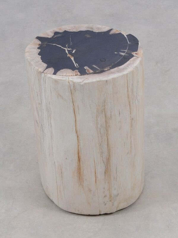 Side table petrified wood 51316