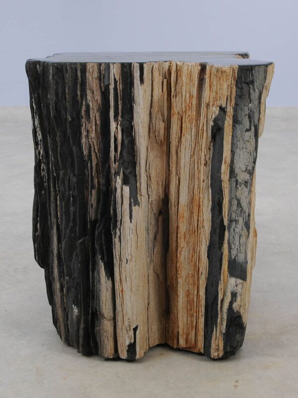 Side table petrified wood 51319