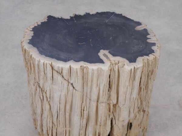 Side table petrified wood 51321