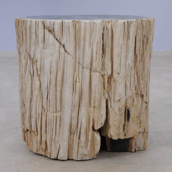 Side table petrified wood 51321