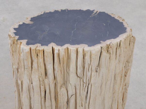 Side table petrified wood 51322