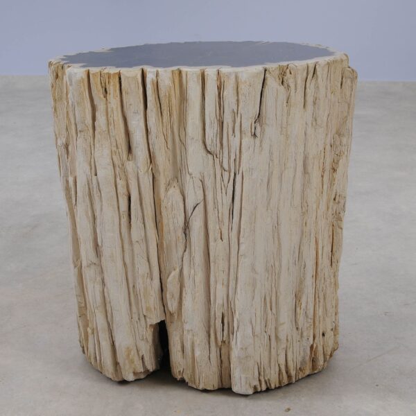 Side table petrified wood 51322