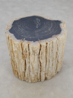 Side table petrified wood 51323