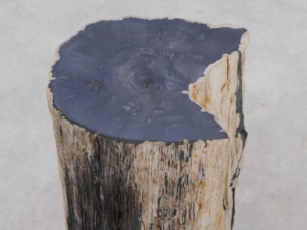 Side table petrified wood 51324