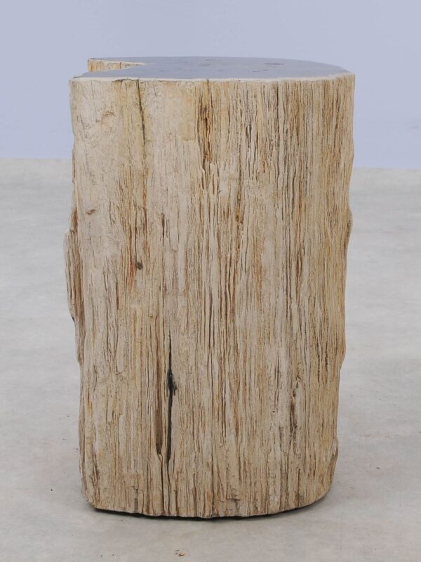 Side table petrified wood 51324
