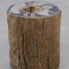 Side table petrified wood 51325