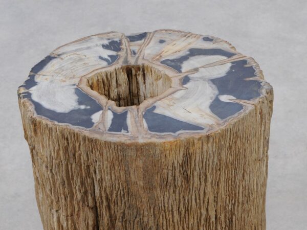 Side table petrified wood 51325