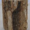 Side table petrified wood 51325