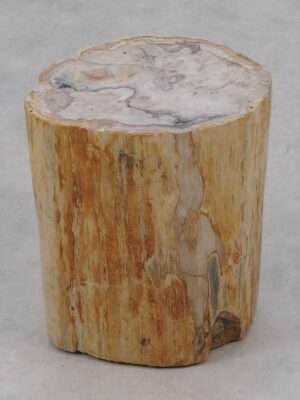 Side table petrified wood 51326