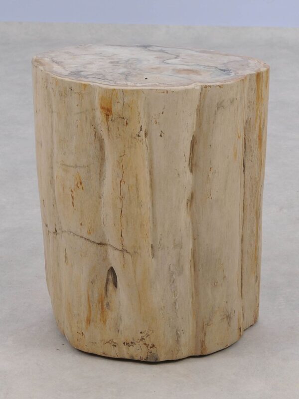 Side table petrified wood 51326
