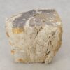 Side table petrified wood 51327