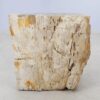Side table petrified wood 51327