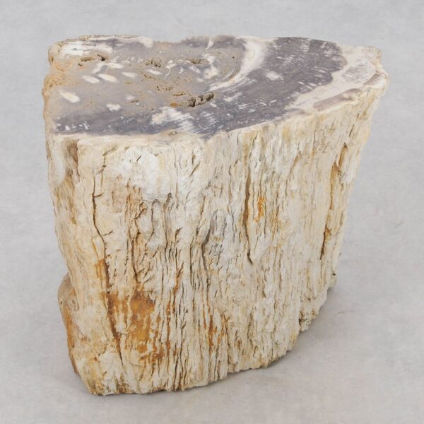 Side table petrified wood 51327