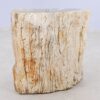Side table petrified wood 51327