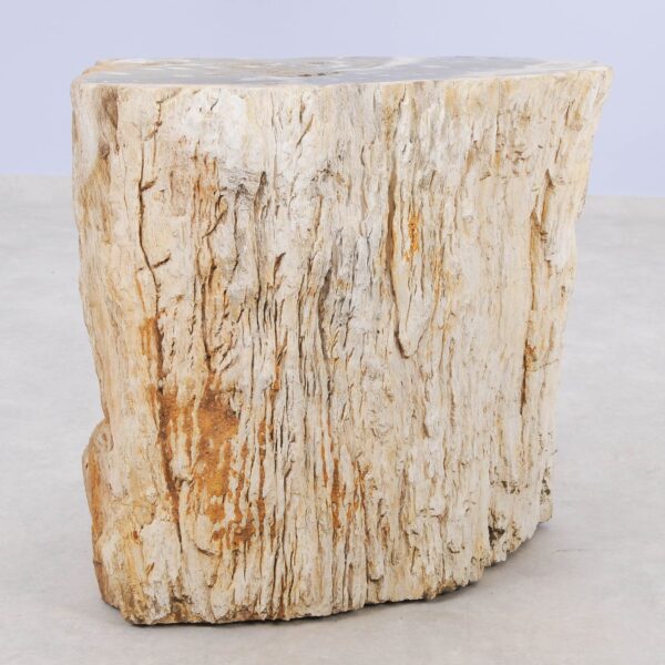 Side table petrified wood 51327