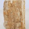 Side table petrified wood 51327